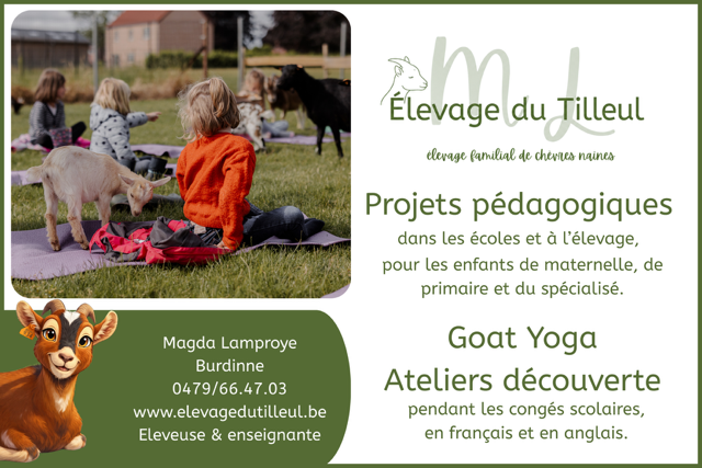 Élevage du tilleul